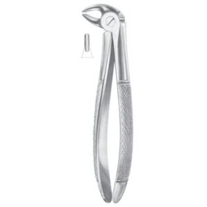Extracting Forceps