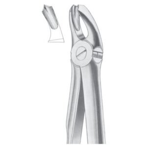 Extracting Forceps English Pattern