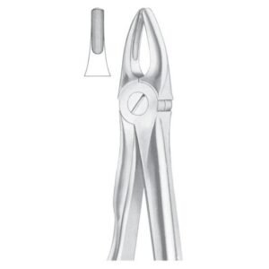 Extracting Forceps English Pattern
