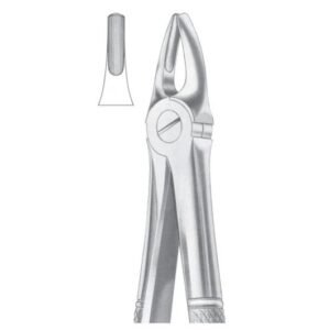 Extracting Forceps