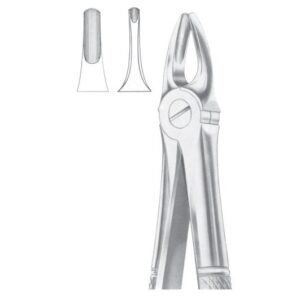 Extracting Forceps