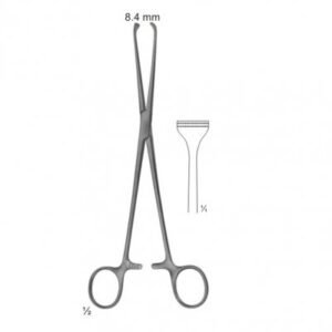 Abdominal Surgery Intestinal And Rectal Instruments