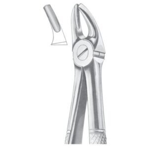 Extracting Forceps