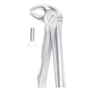 Extracting Forceps English Pattern
