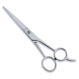 Economy Scissors