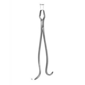 Bone Holding Forceps Bone Rangers Bone Cutting Forceps