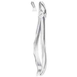 Extracting Forceps English Pattern